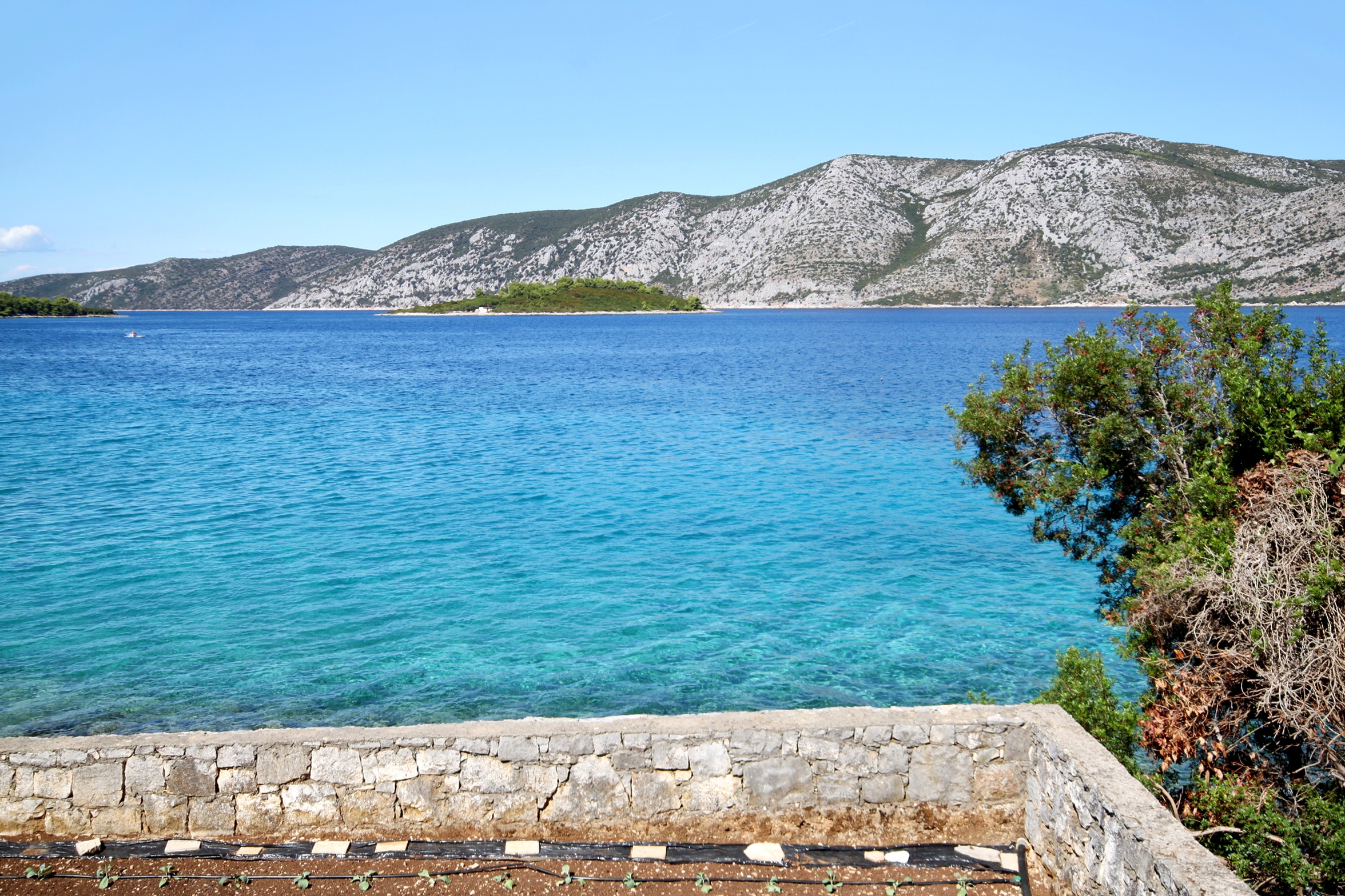 Top Korčula Kneža Top Korčula Kneža