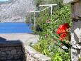 Kneža, Korčula, Giardino 9166 - Appartamenti affitto vicino al mare.
