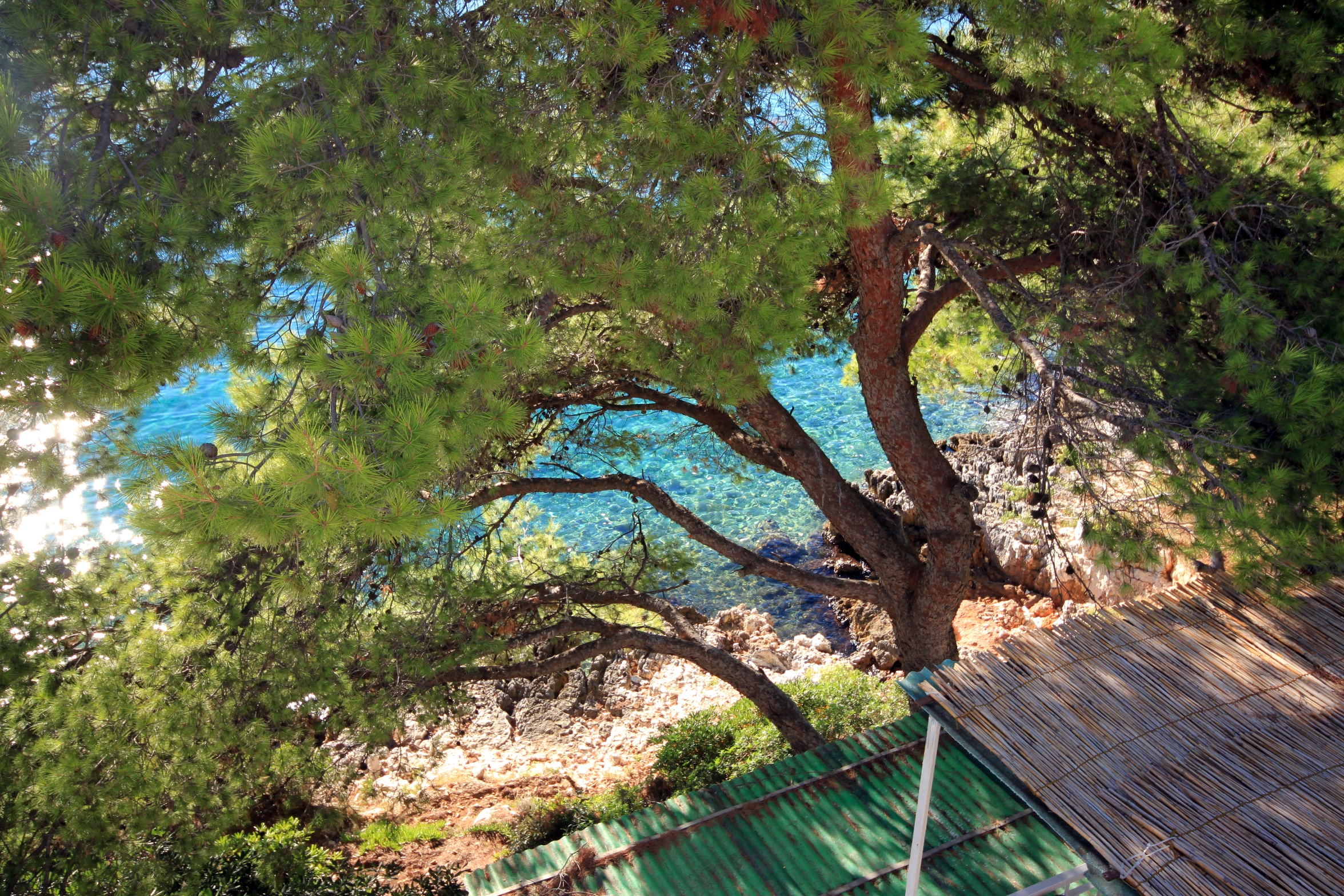 Two bedroom apartment near beach Lumbarda, Korčula  A-a