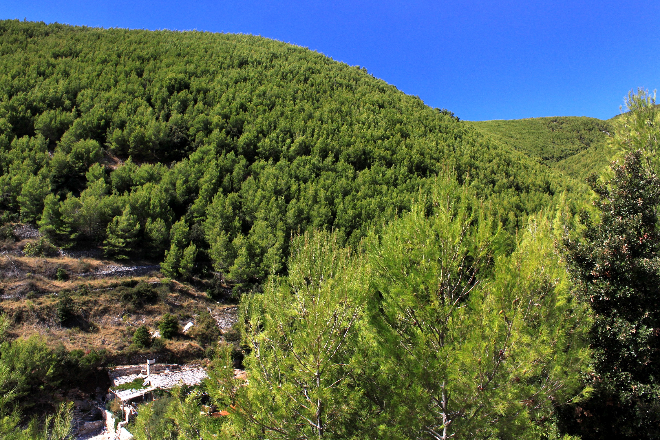 Top Korčula Bratinja Luka Top Korčula Bratinja Luka
