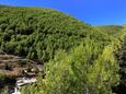 Bratinja Luka, Terrace - view in the house, (pet friendly).