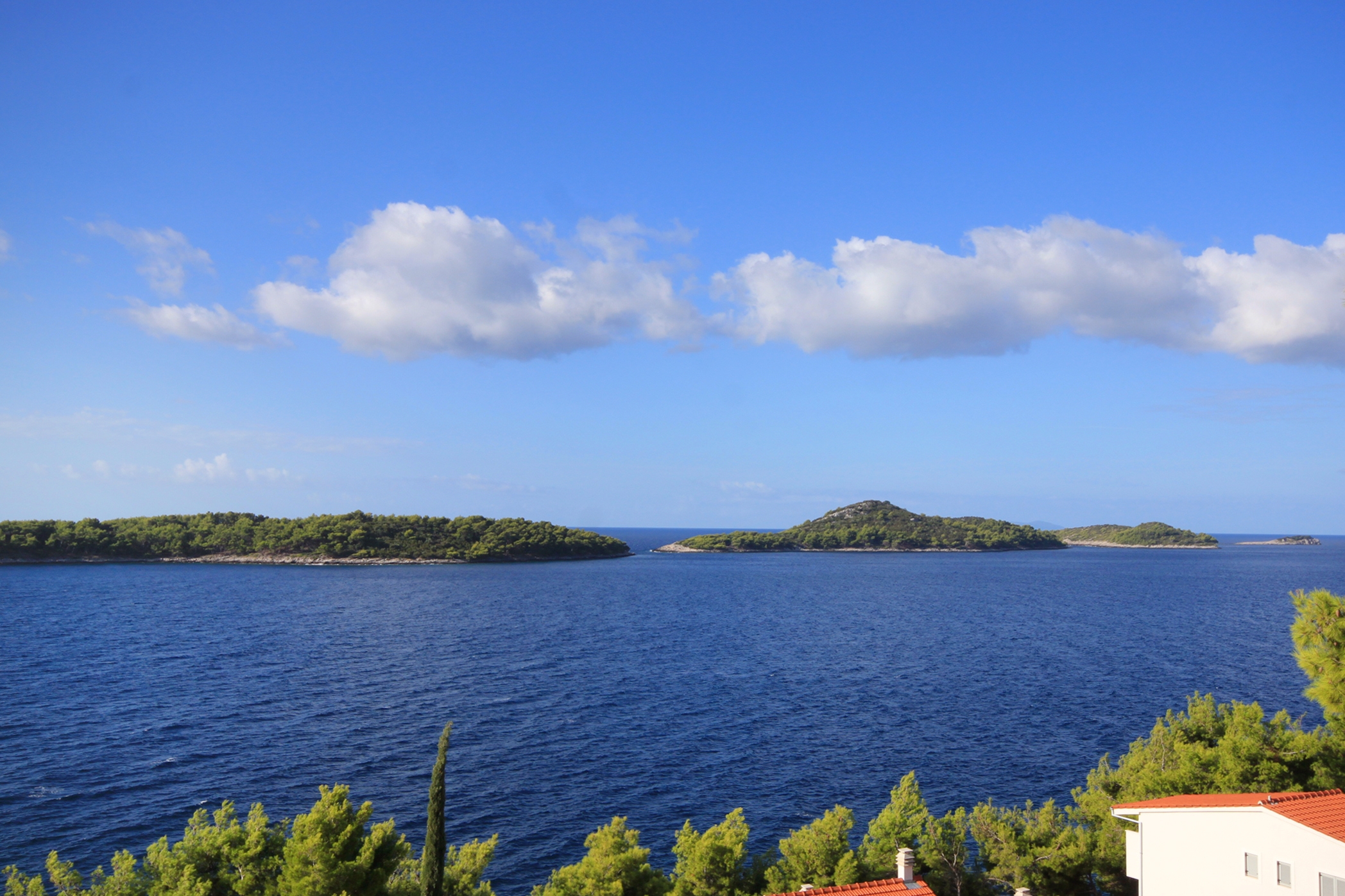 One bedroom apartment with balcony and sea view Prižba, Korčula  A-c