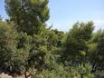 Terrasse commune - vue Gršćica, Terrasse commune - vue dans l’hébergement en type apartment, animaux acceptés.