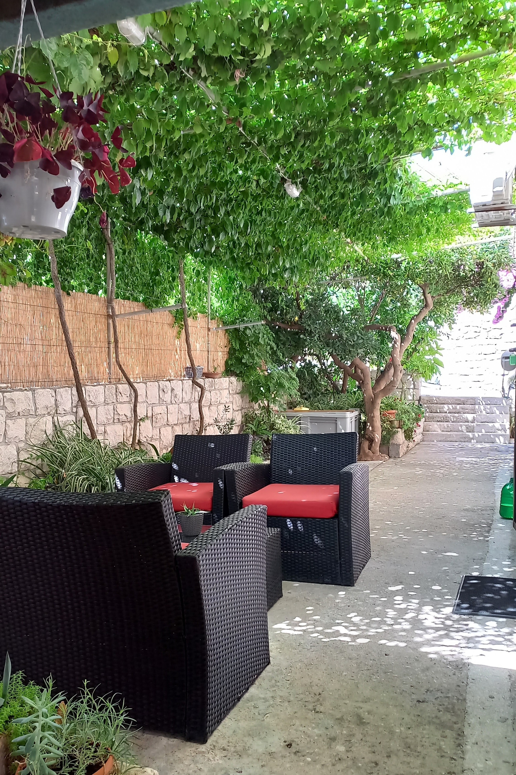 Top Brač Postira Top Brač Postira