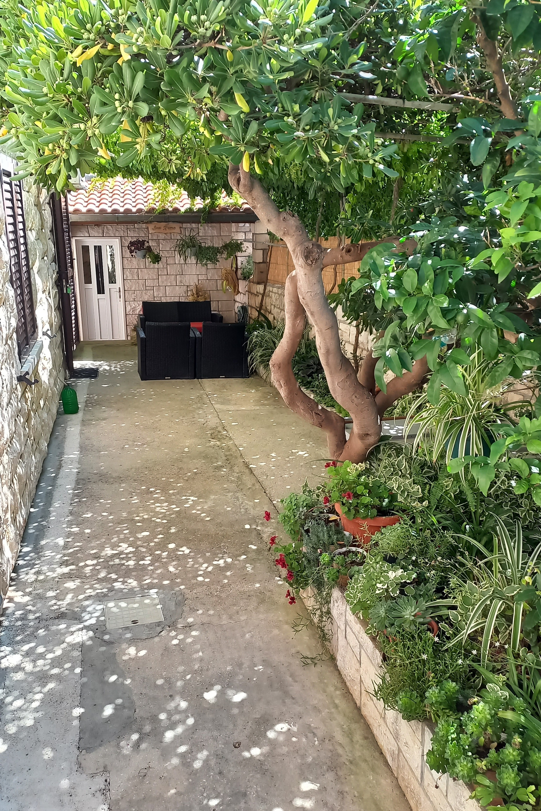One bedroom apartment with terrace Postira, Brač  A-a