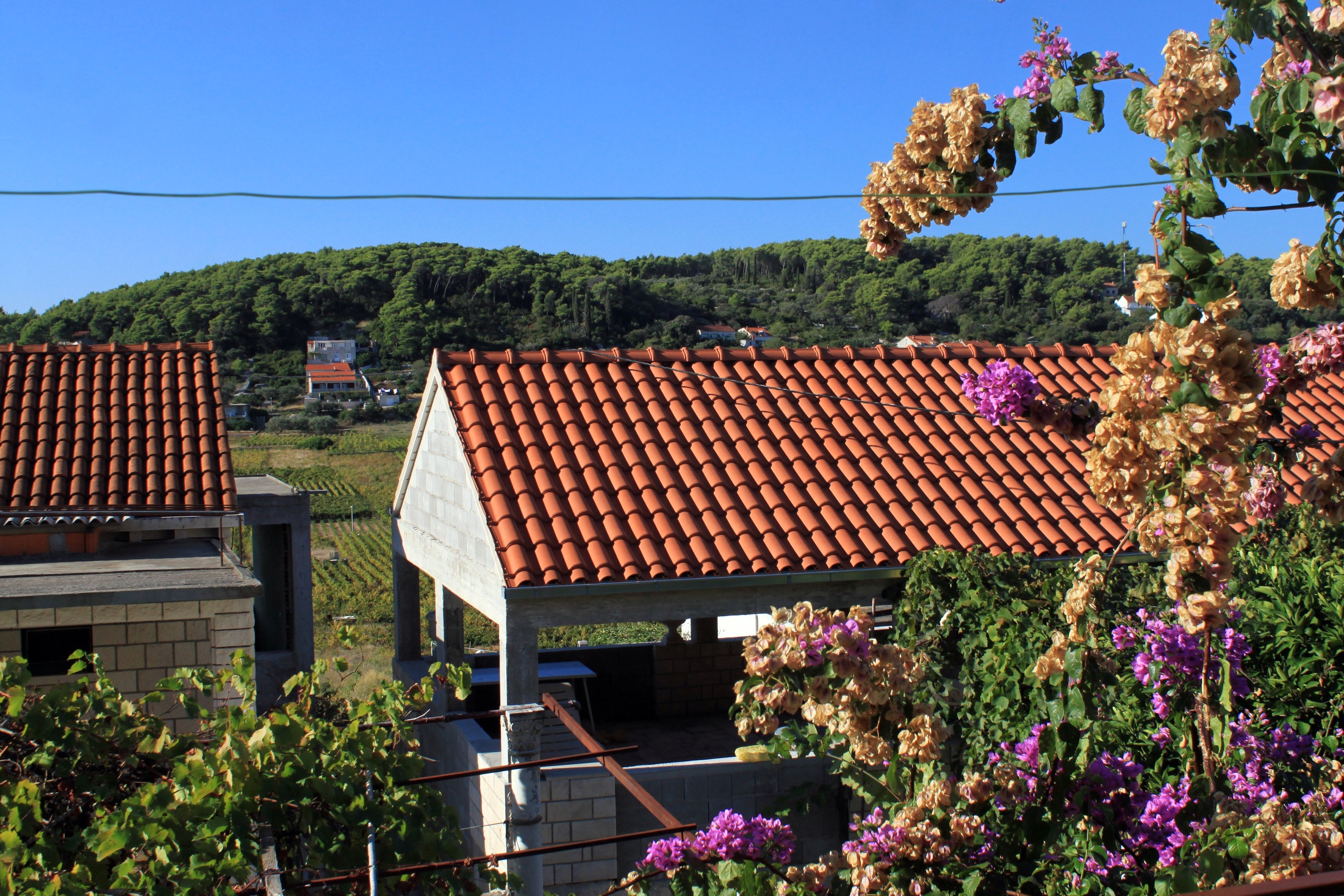 Top Korčula Lumbarda Top Korčula Lumbarda