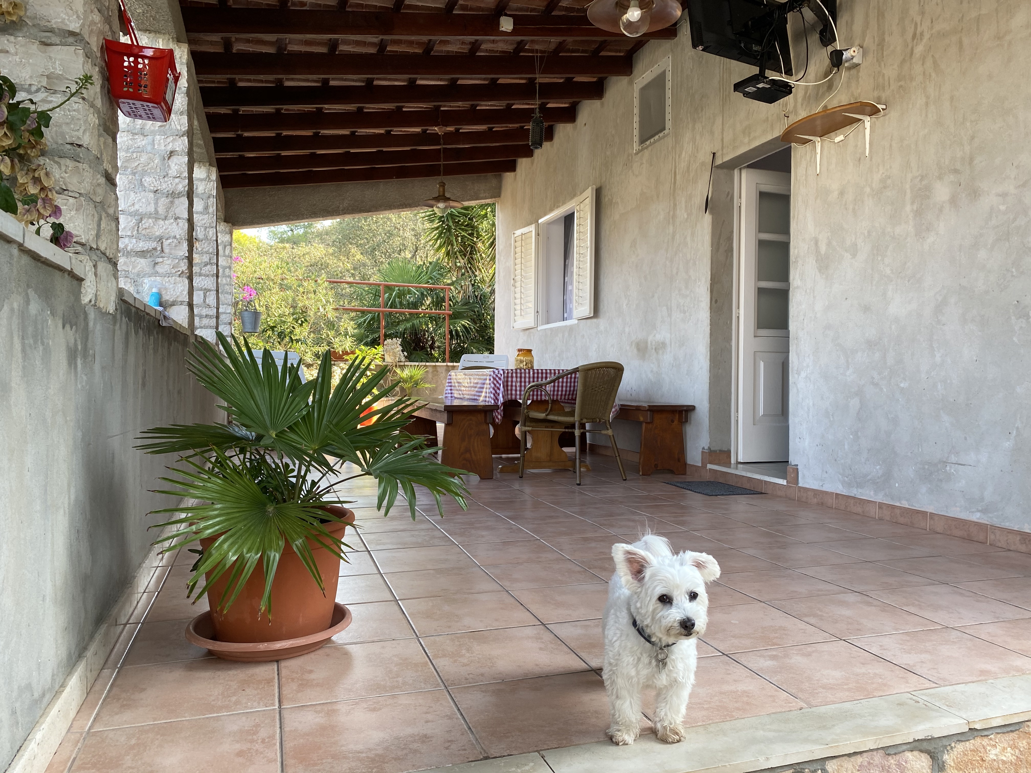 Two bedroom apartment near beach Cove Stratinčica, Korčula  A-a