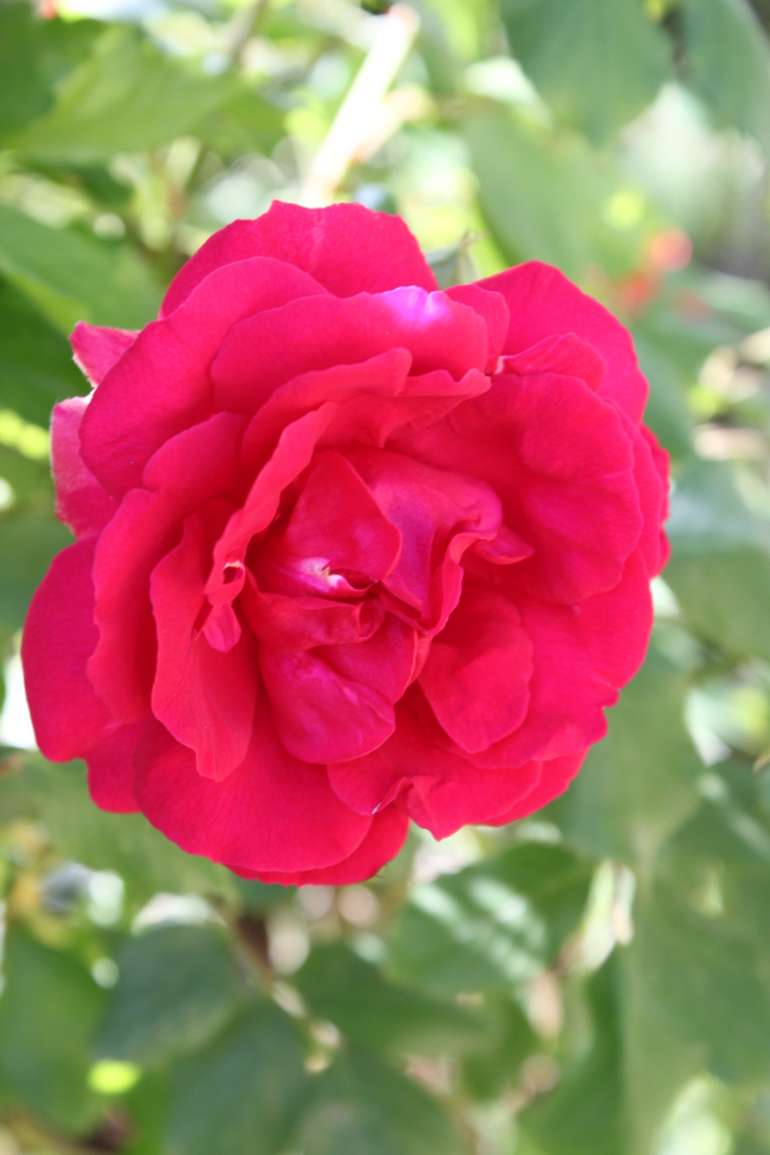 Four-bedroom apartment with terrace Vodice  A-a