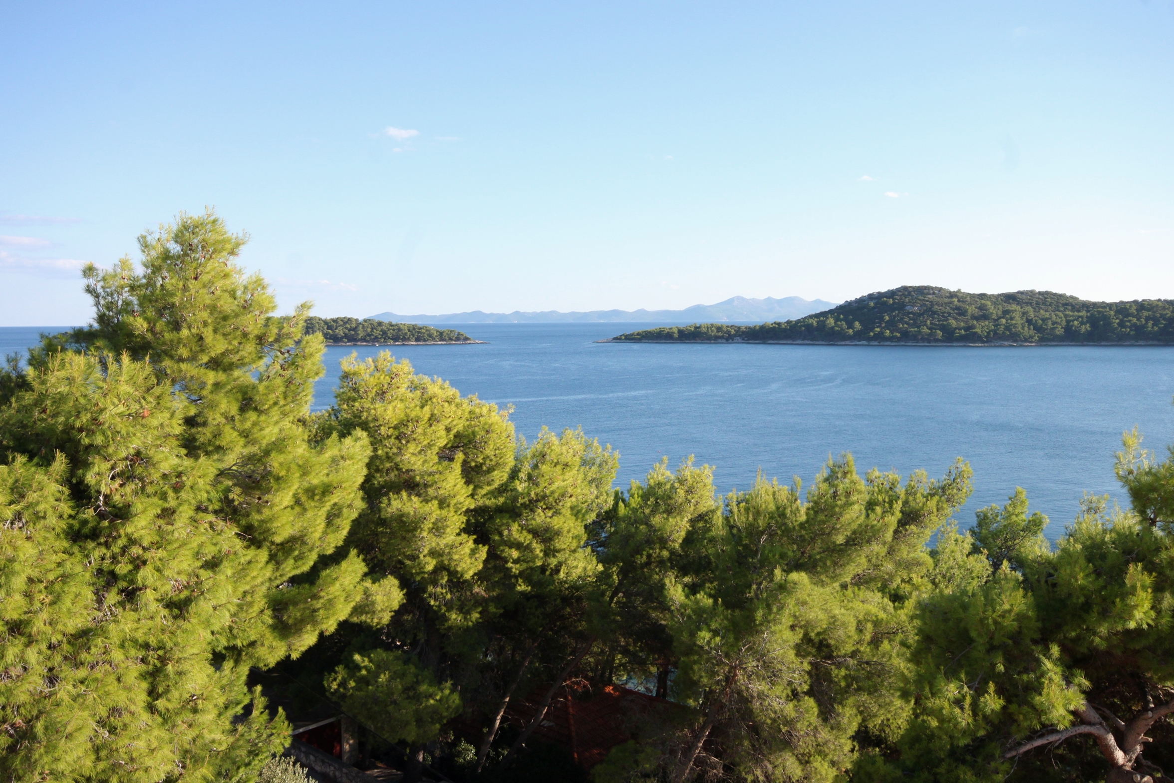 Two bedroom apartment near beach Prižba, Korčula  A-a