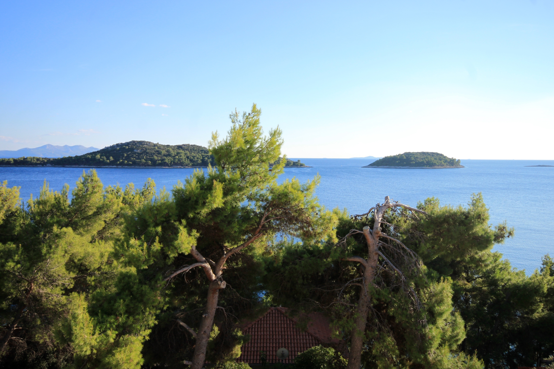 One bedroom apartment near beach Prižba, Korčula  A-b