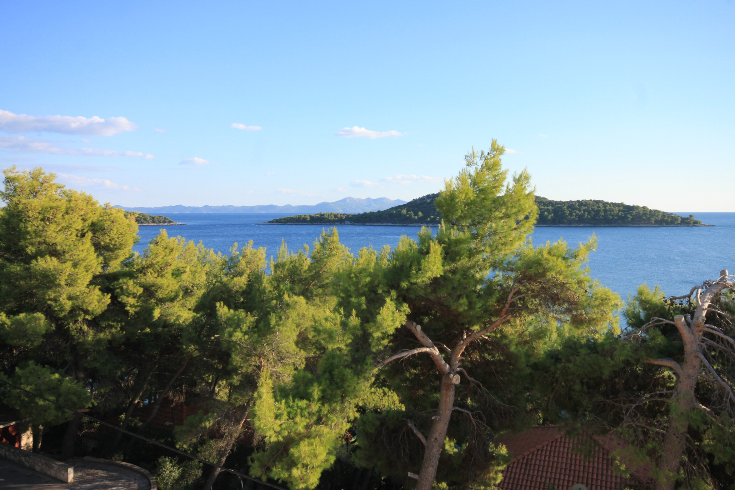 One bedroom apartment near beach Prižba, Korčula  A-c