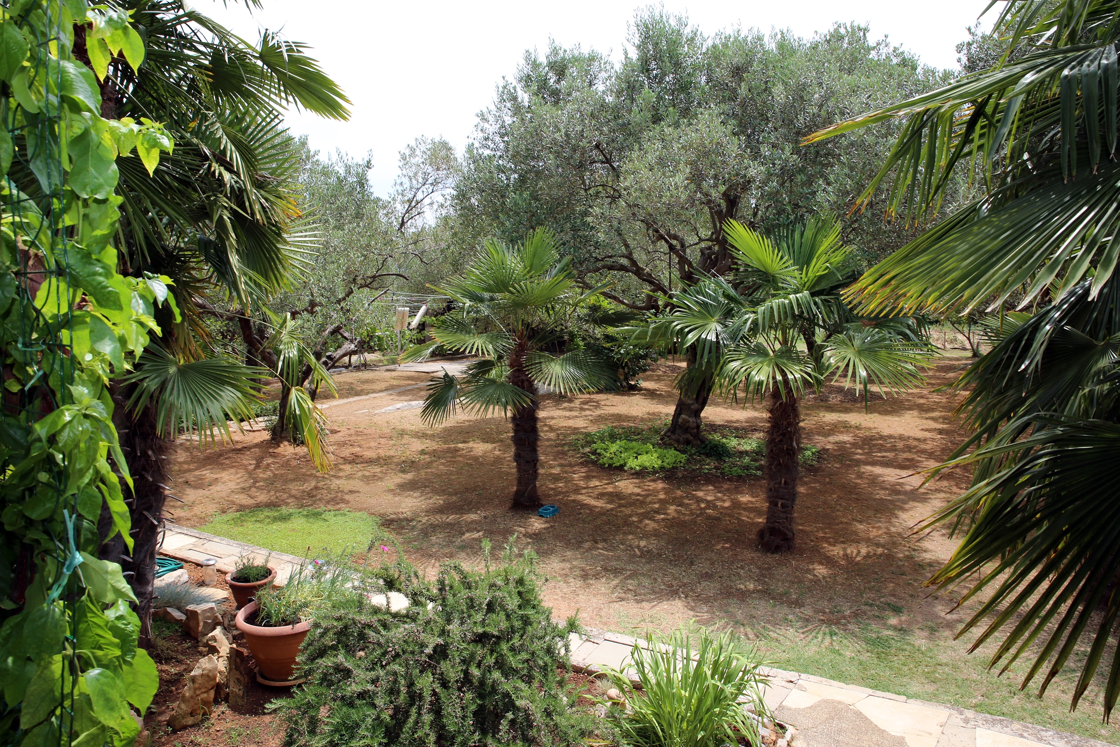 Dvosobni apartman s terasom Vodice  A-a