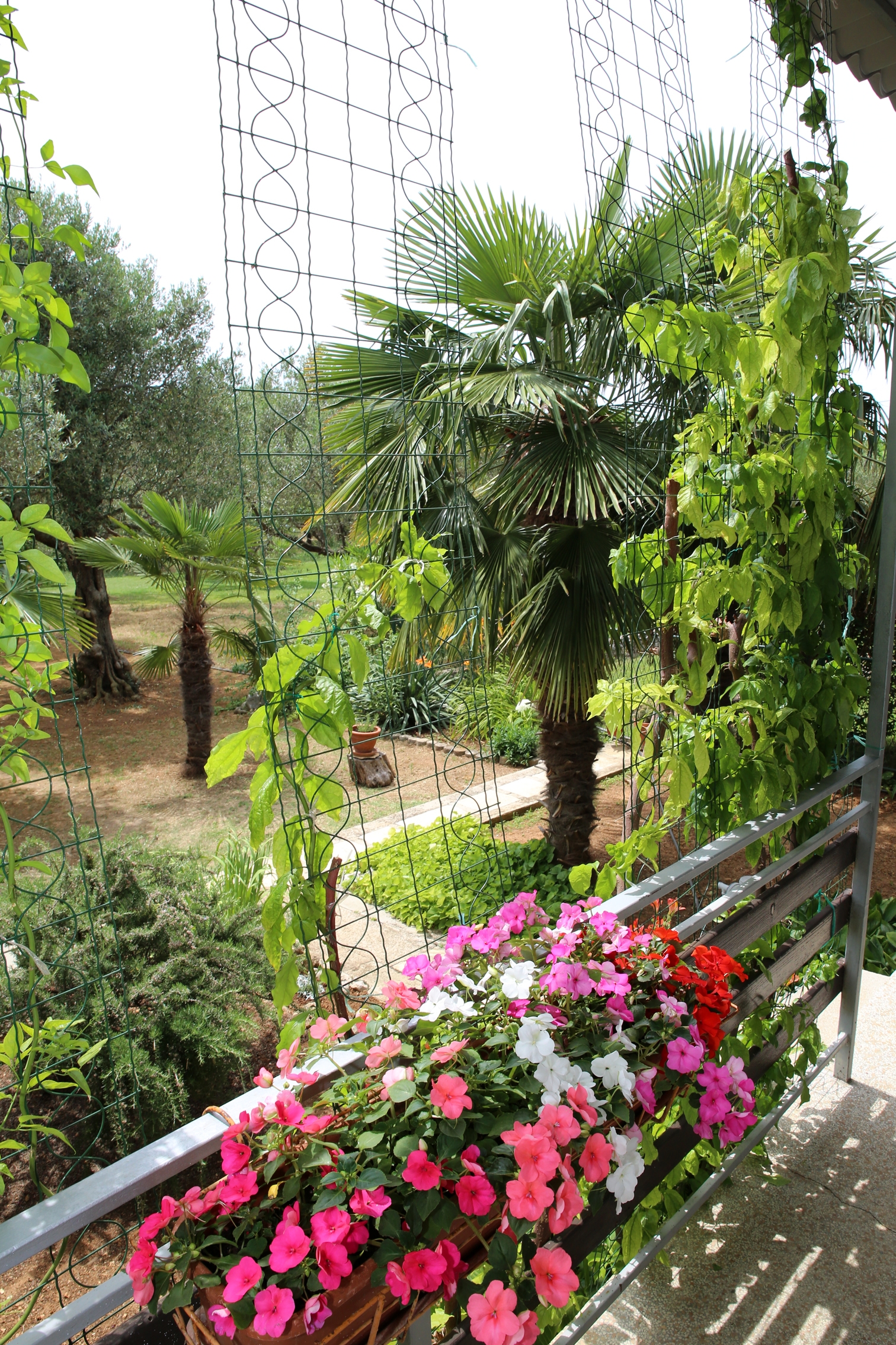 Dvosobni apartman s terasom Vodice  A-a