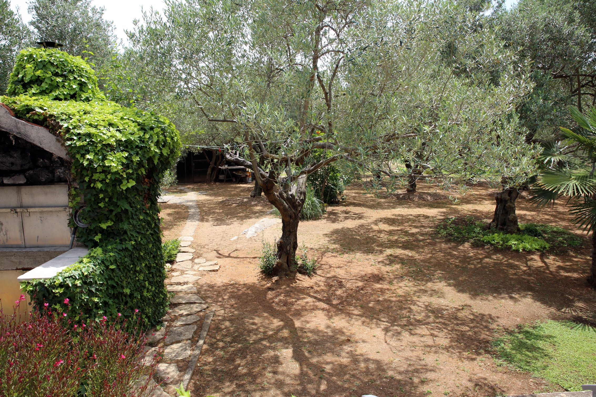 Jednosobni apartman s terasom Vodice  A-b