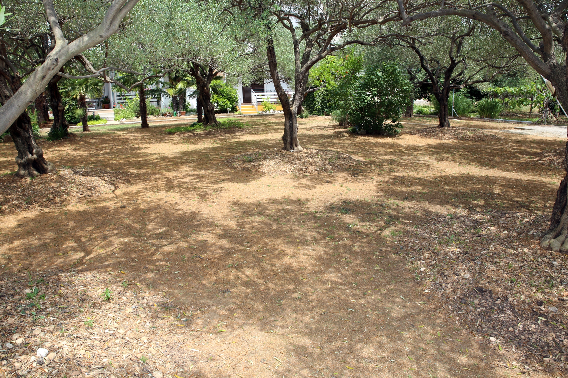 Jednosobni apartman s terasom Vodice  A-b