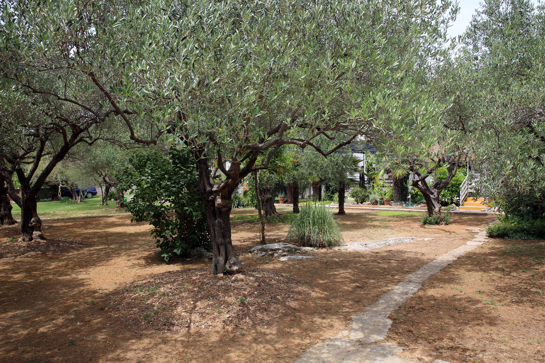 Jednosobni apartman s terasom Vodice  A-b