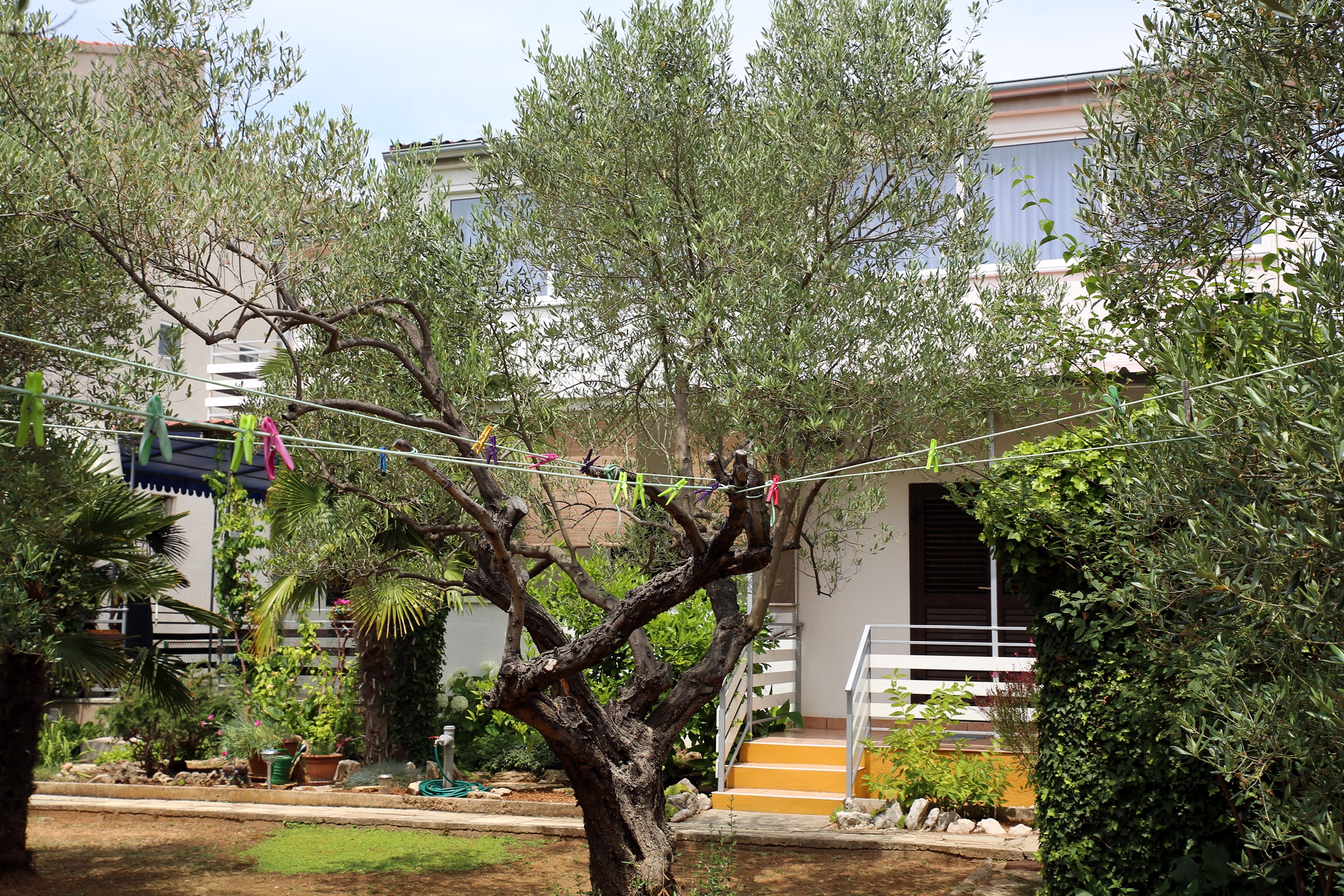 Jednosobni apartman s terasom Vodice  A-b