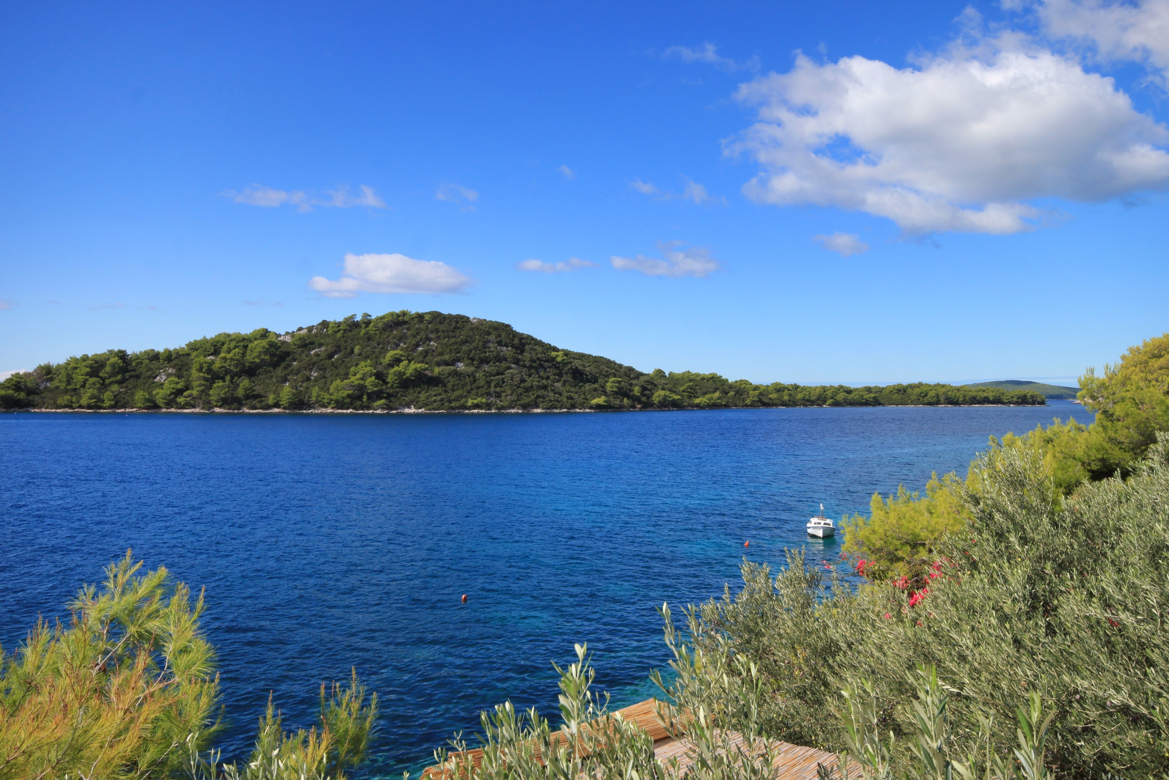Two bedroom apartment near beach Karbuni, Korčula  A-b