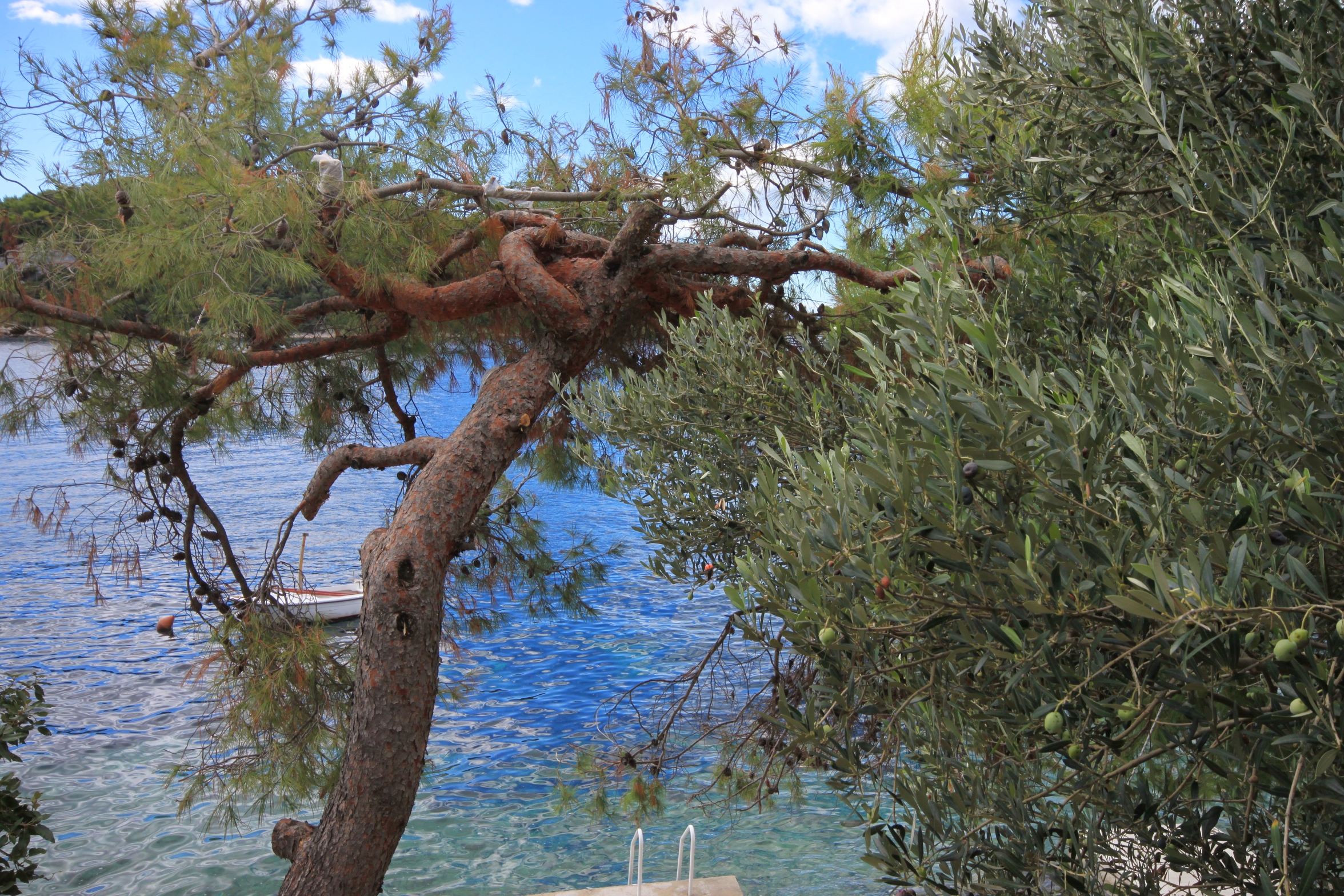 One bedroom apartment near beach Karbuni, Korčula  A-c