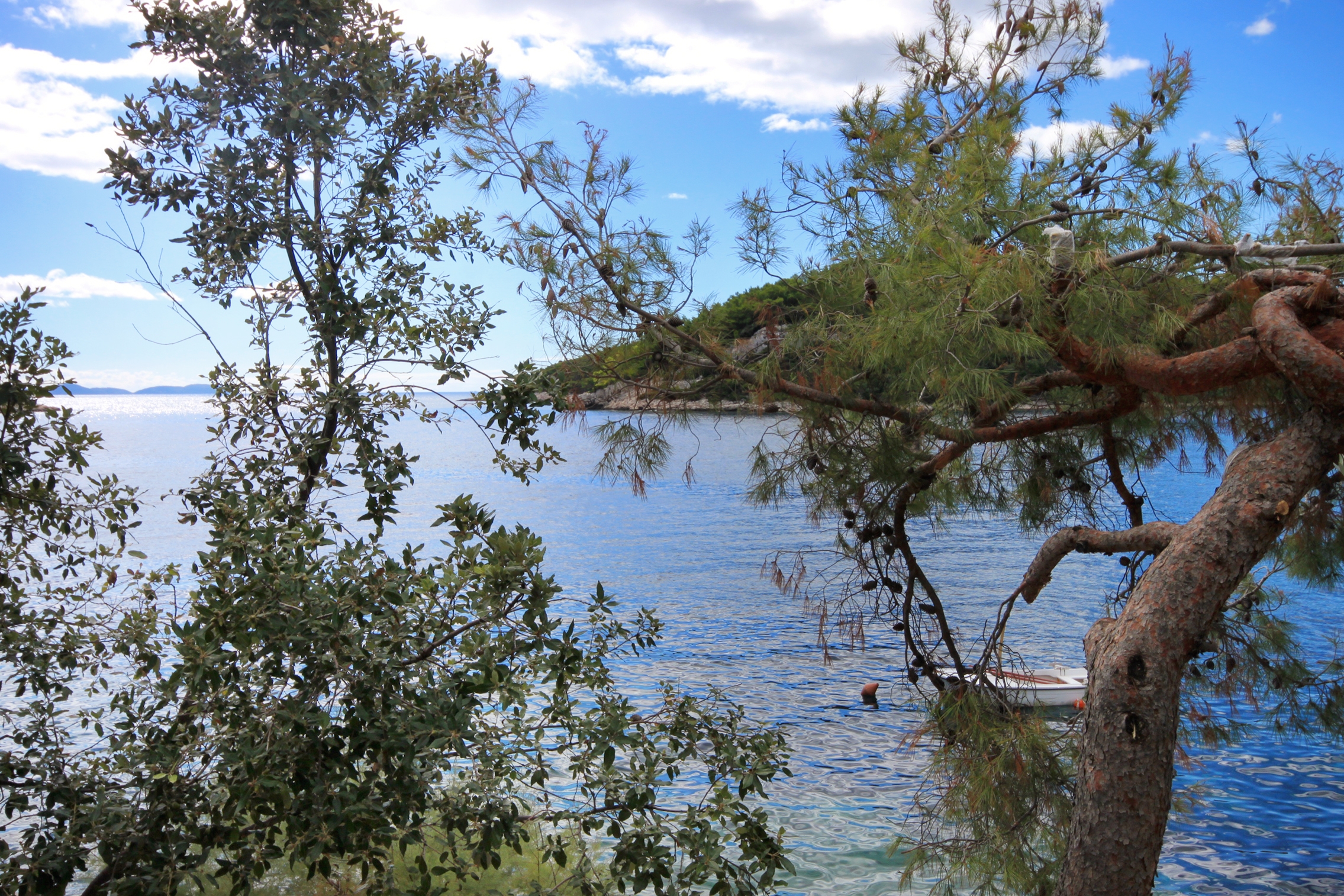 One bedroom apartment near beach Karbuni, Korčula  A-c