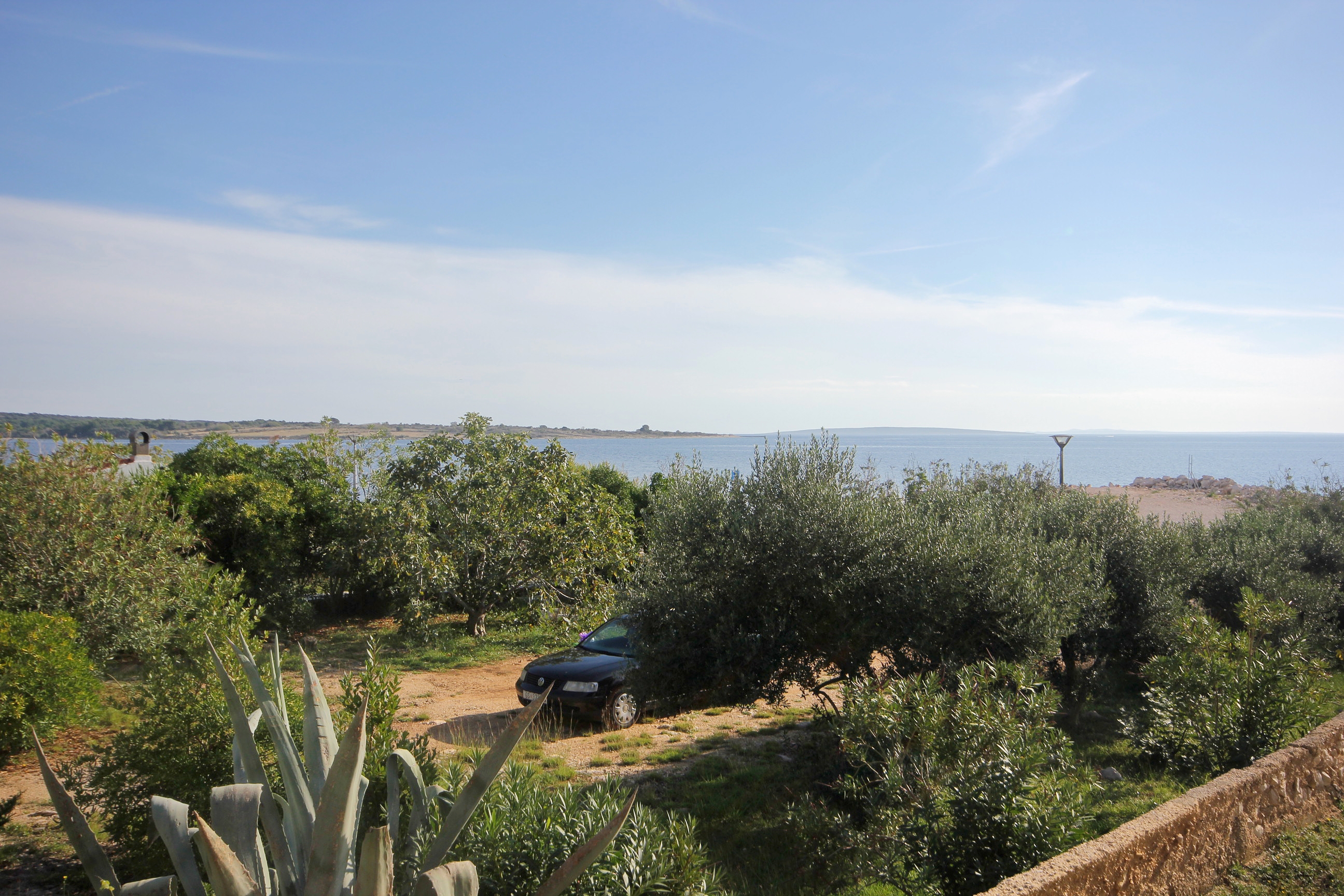 Top Pag Novalja Top Pag Novalja