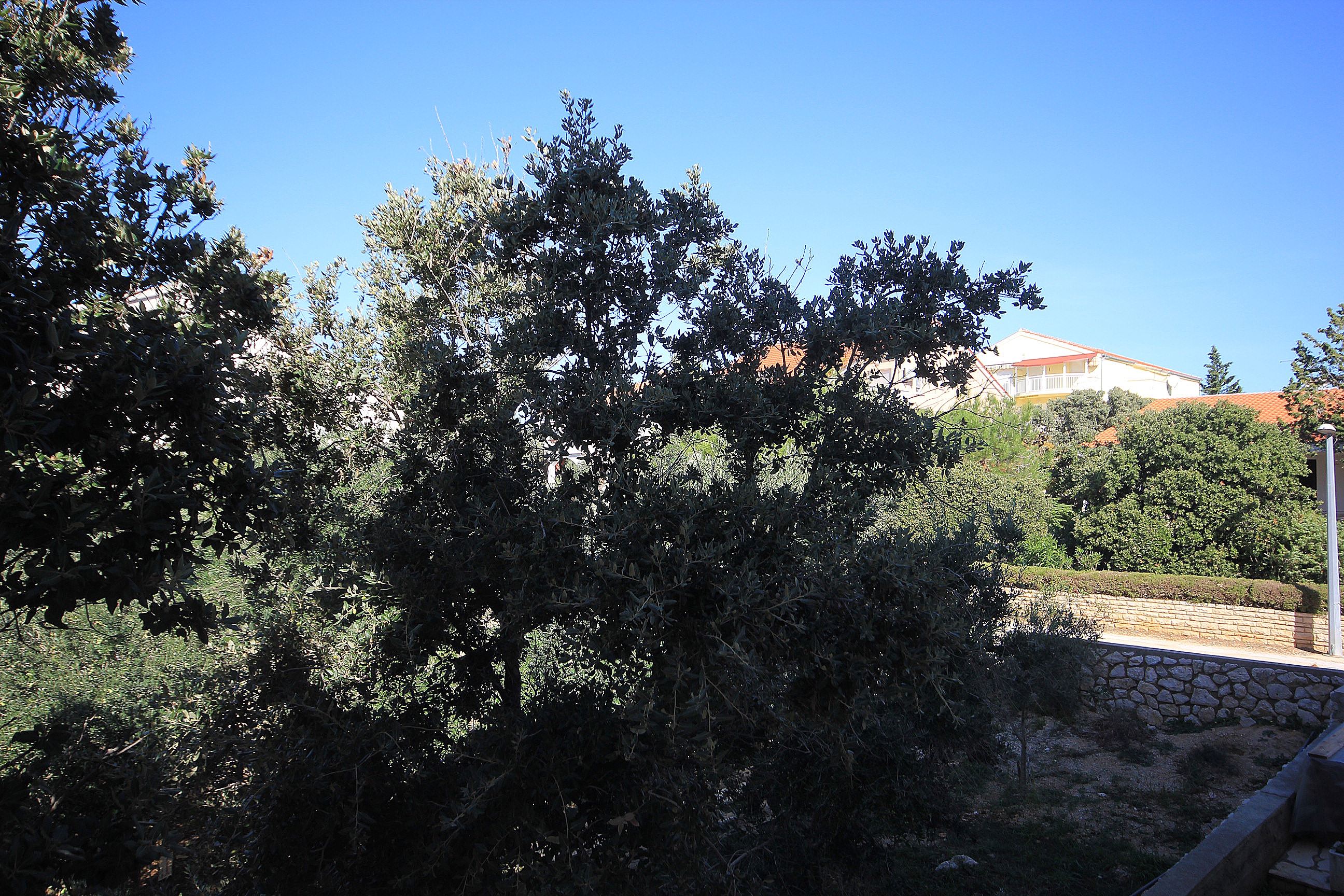 One bedroom apartment with terrace Mandre, Pag  A-b