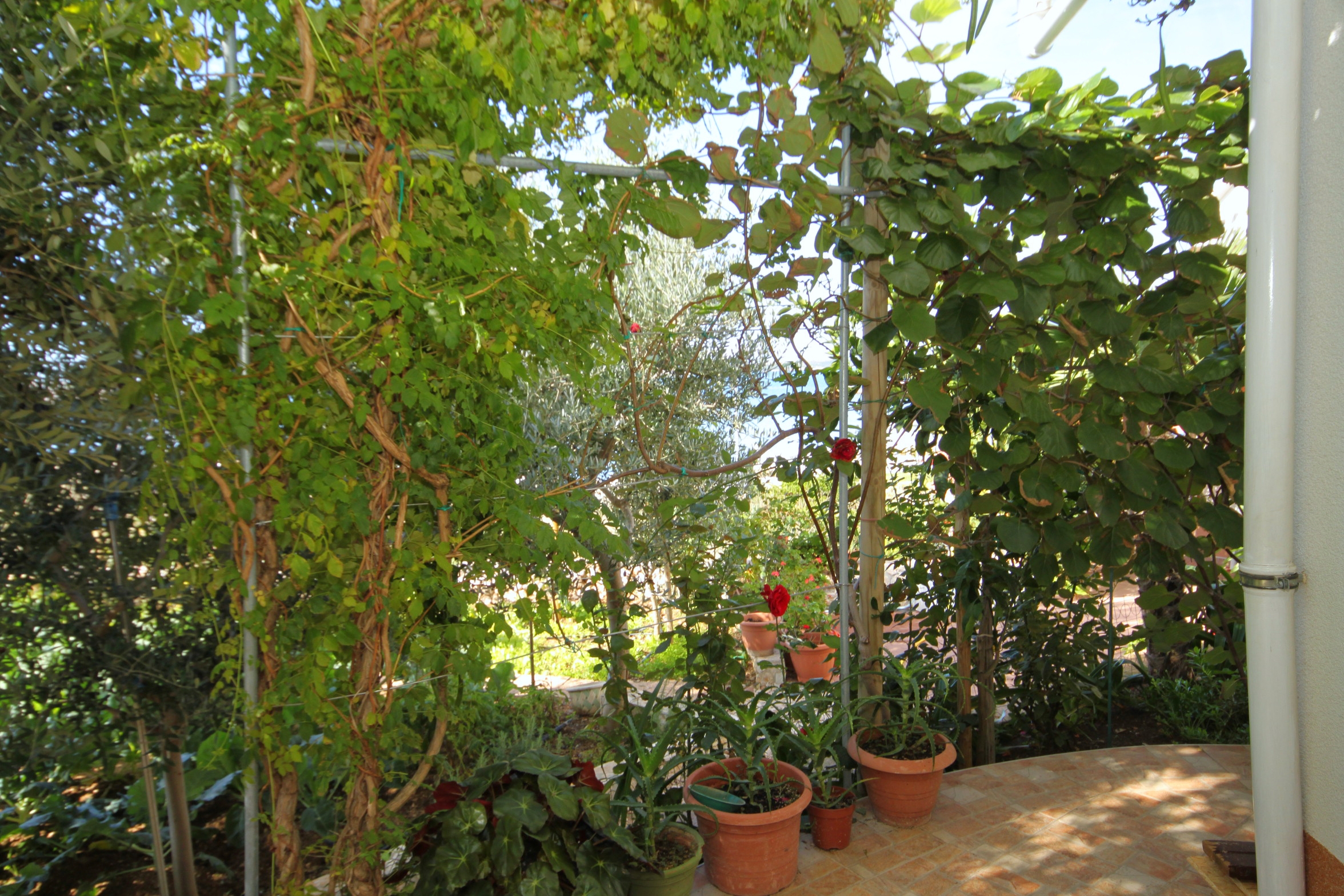 Top Pag Kustići Top Pag Kustići