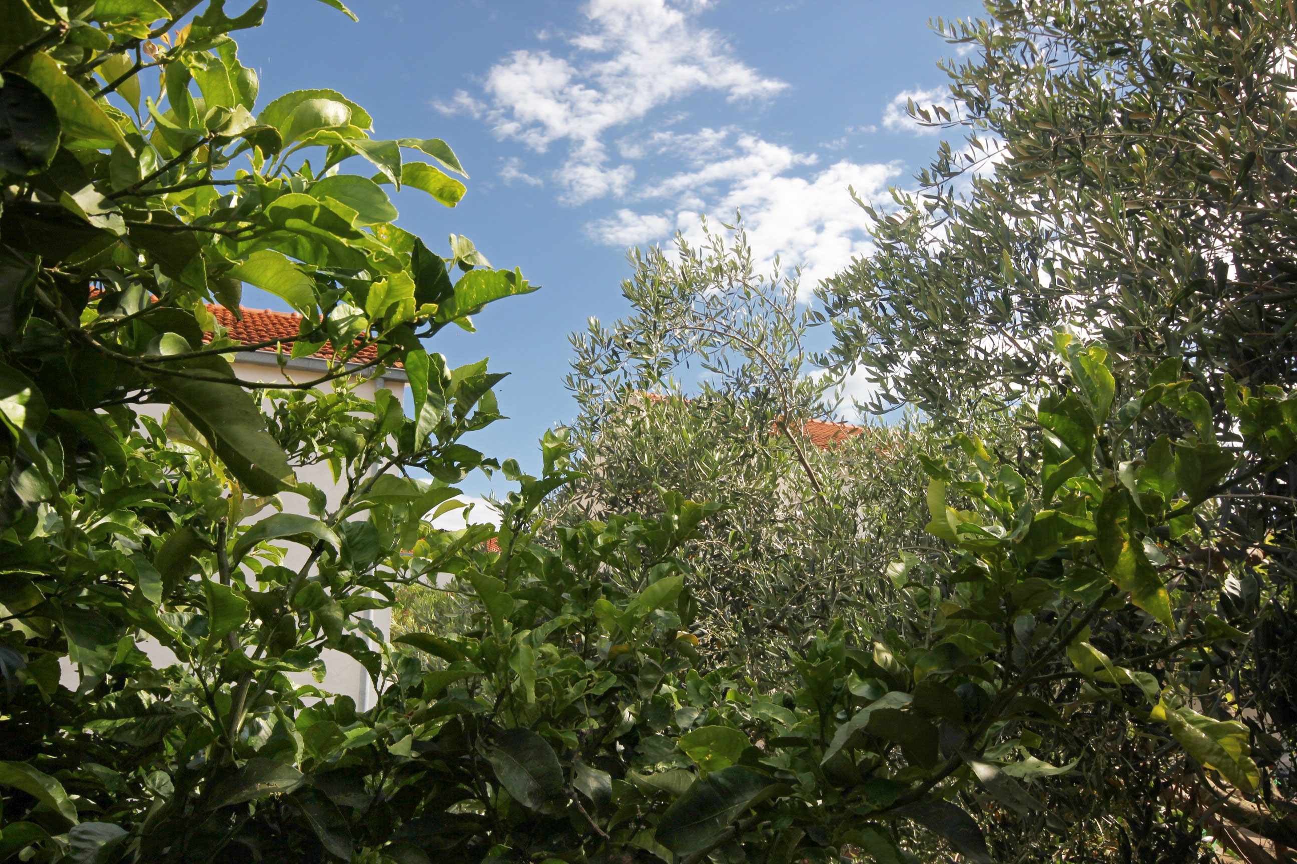 Dvosobna kuća s terasom Orebić, Pelješac  K