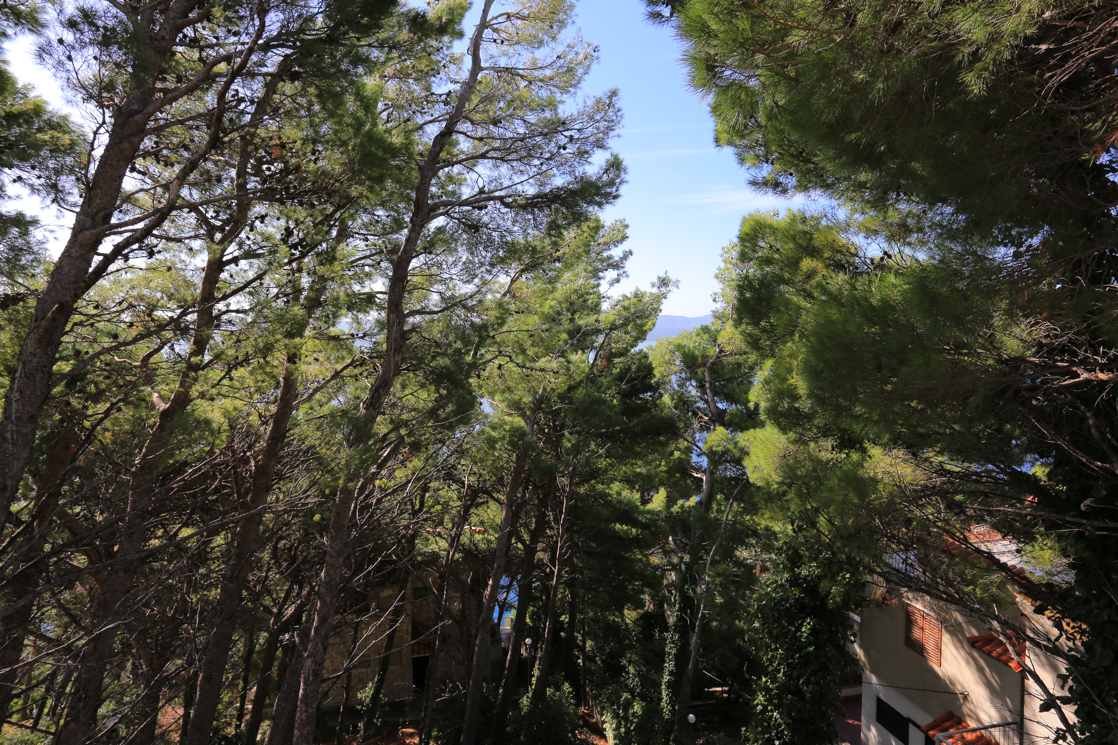 Two bedroom apartment with balcony Marušići, Omiš  A-a