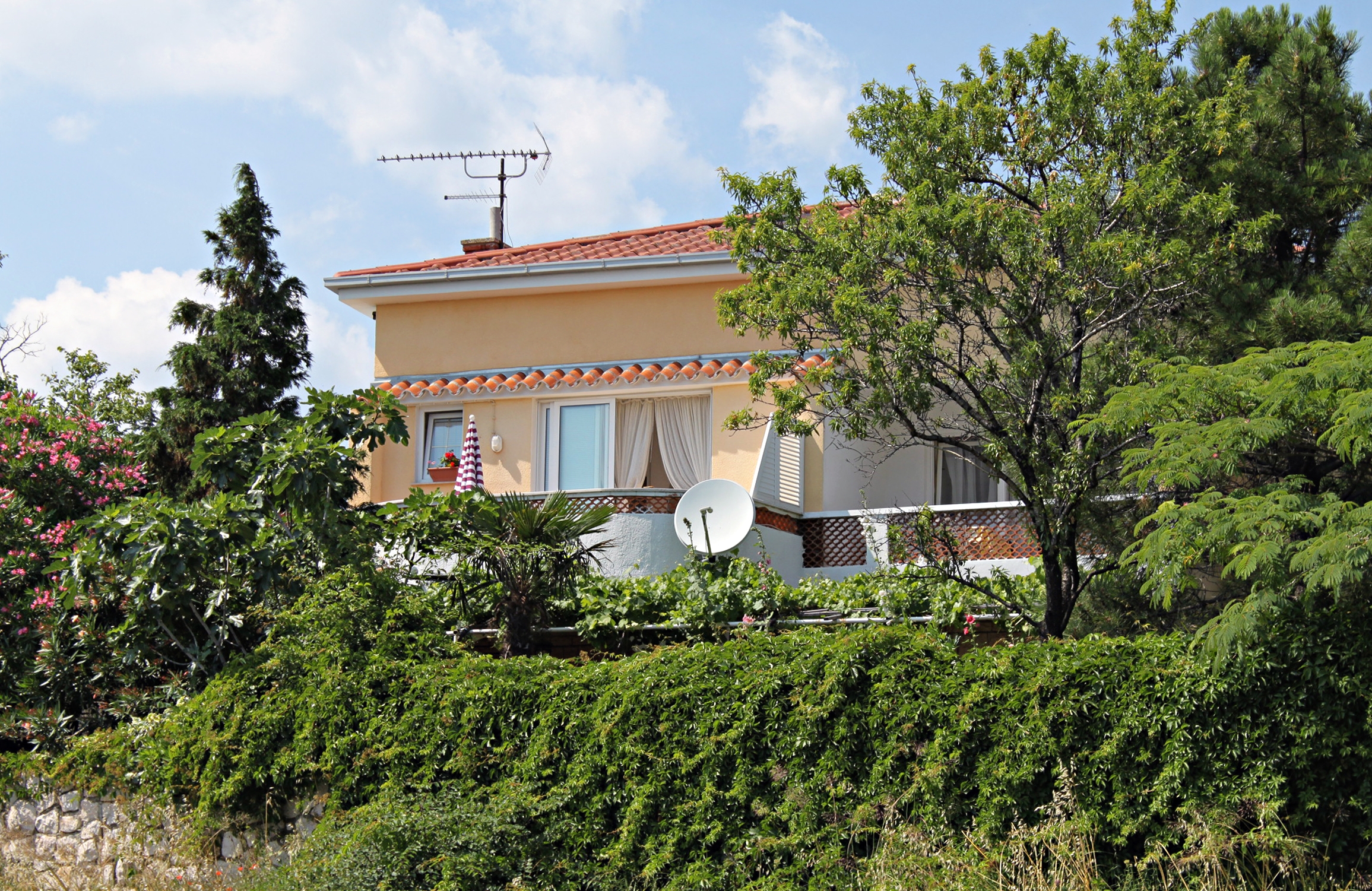Top Novi Vinodolski Top Novi Vinodolski