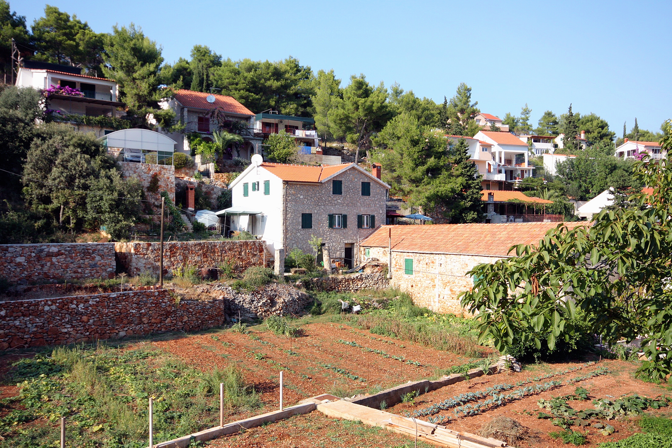 One bedroom apartment near beach Basina, Hvar  A-a