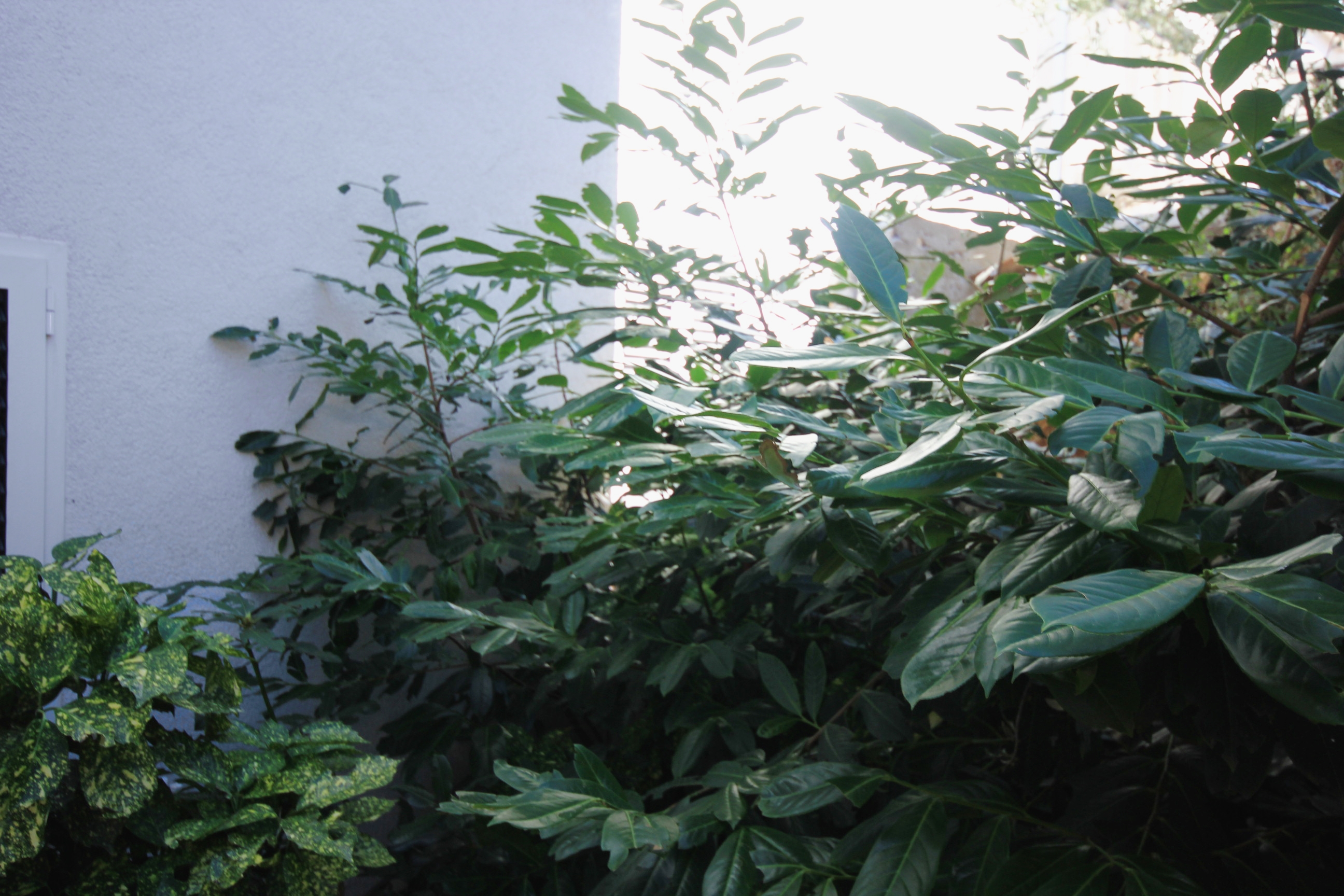 One bedroom apartment with terrace Seget Vranjica, Trogir  A-c