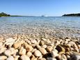 Riviera Island Silba