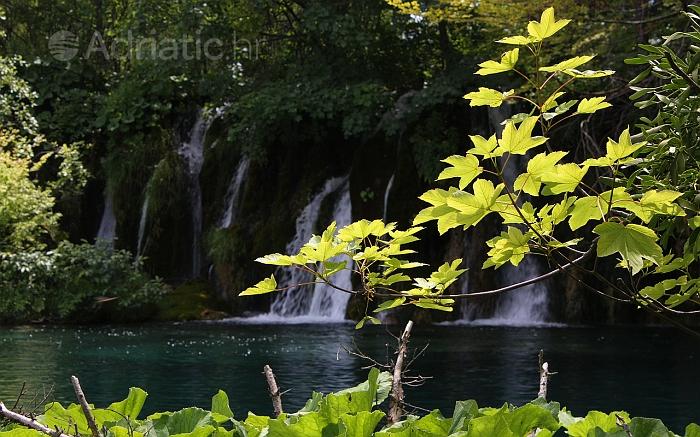 Pejsaž Nacionalni park Plitvice