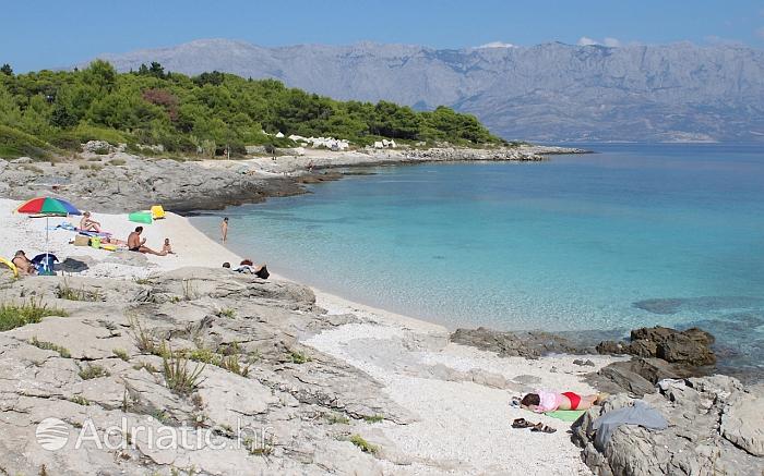 Plaża w miejscowości Sumartin, riwiera Brač
