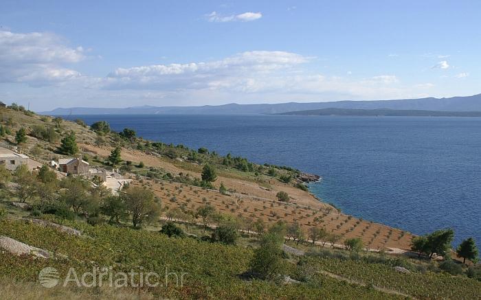 Panorama uvale Vela Farska, rivijera Brač